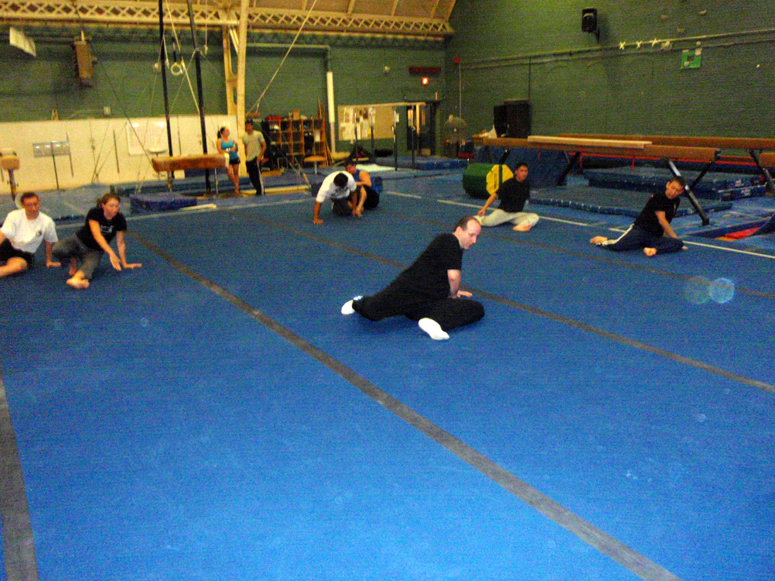 MARI Seminar - Mike Williams Teaching Harimau at MIT